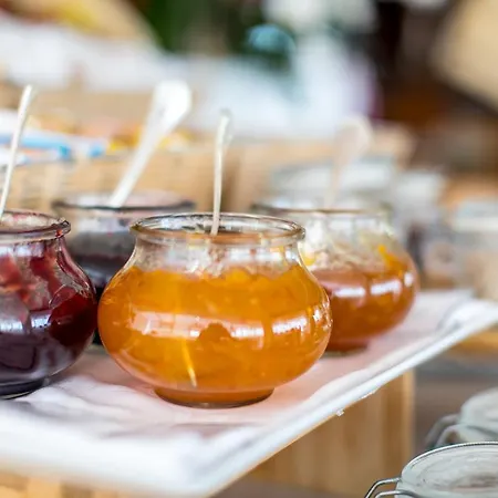 Hotel City Hotel Senigallia